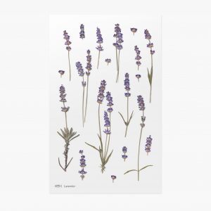 APPREE | Pegatinas Flores Prensadas Multisuperficie (20) - Lavanda