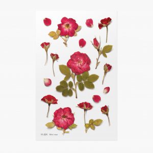 APPREE | Pegatinas Flores Prensadas Multisuperficie (17) - Mini Rosa