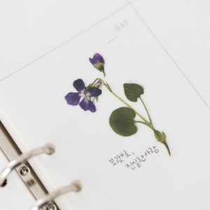 APPREE | Pegatinas Flores Prensadas Multisuperficie (16) - Violeta