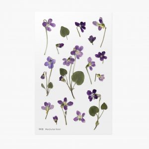 APPREE | Pegatinas Flores Prensadas Multisuperficie (16) - Violeta