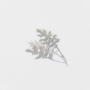 APPREE | Pegatinas Flores Prensadas Multisuperficie (9) - Dusty Miller