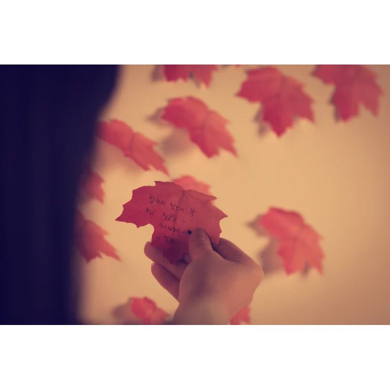APPREE | Notas Adhesivas Vegetales (3 x 20) - Arce - Imagen 5