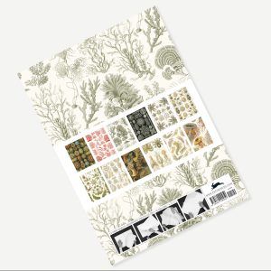 THE PEPIN PRESS | Libro 12 Pliegos Ilustrados 50x70 cm - Art Forms in Nature