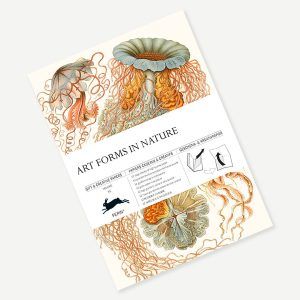 THE PEPIN PRESS | Libro 12 Pliegos Ilustrados 50x70 cm - Art Forms in Nature