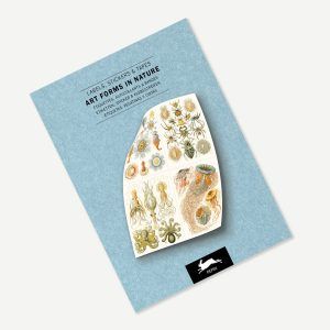 THE PEPIN PRESS | Libro de Etiquetas Adhesivas (250) - Art Forms in Nature
