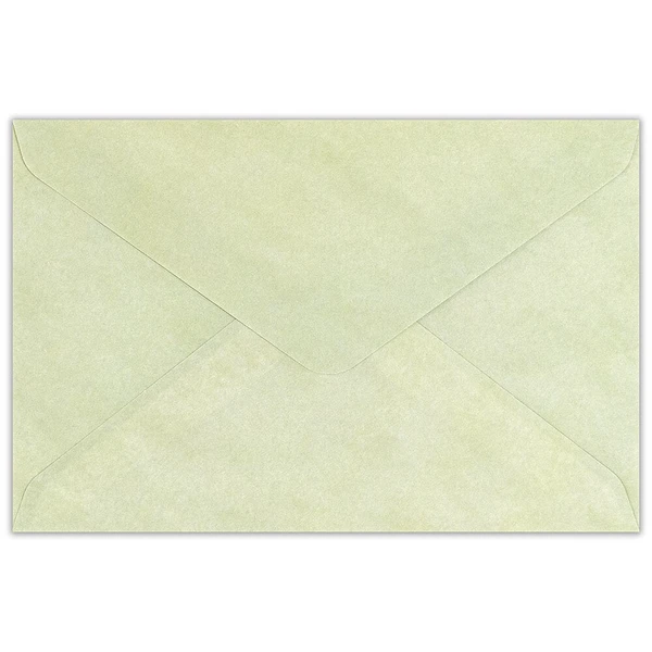 NB CO. | Set de Cartas (6) y Sobres (3) A6 MICHIKUSA - Herbe - Imagen 4