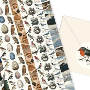 THE PEPIN PRESS | Libro de Etiquetas Adhesivas (250) - Fauna
