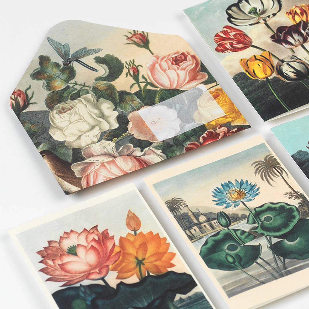 THE PEPIN PRESS | Libro de Papel para Manualidades CREATIVE PAPER - Flowers - Imagen 6