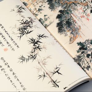 THE PEPIN PRESS | Libro 12 Pliegos Ilustrados 50x70 cm - Chinese Art