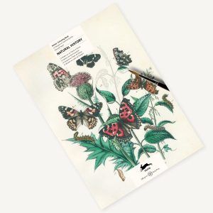 THE PEPIN PRESS | Libro A3 ilustraciones para colorear - Natural History