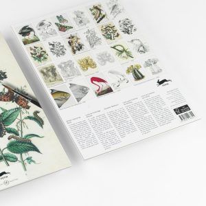 THE PEPIN PRESS | Libro A3 ilustraciones para colorear - Natural History