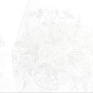 THE PEPIN PRESS | Libro postales A6 para acuarela - Floral Images