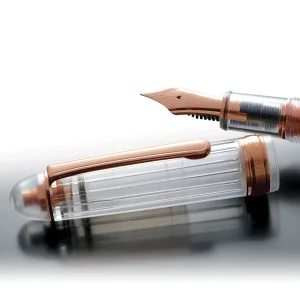 PLATINUM | Pluma Estilográfica #3776 CENTURY NICE - ORO 14K - Rosè