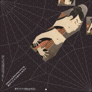 TOYO | Hojas de papel Origami (54) - Toshusai Grulla - 27 diseños