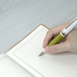 SAILOR | Pluma Estilográfica Pro Gear Slim Mini RENCONTRE - ORO 14 K - Pistache