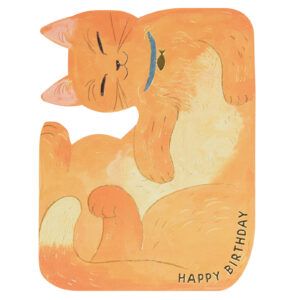 GREETING LIFE | Tarjeta Cumpleaños Pop Up - Orange Cat