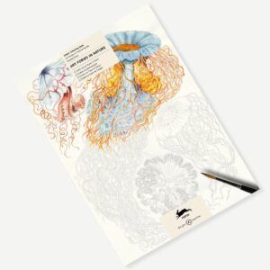 THE PEPIN PRESS | Libro A3 ilustraciones para colorear - Art Forms in Nature 2