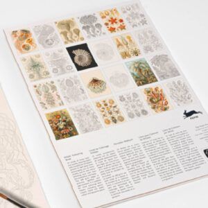 THE PEPIN PRESS | Libro A3 ilustraciones para colorear - Art Forms in Nature 2