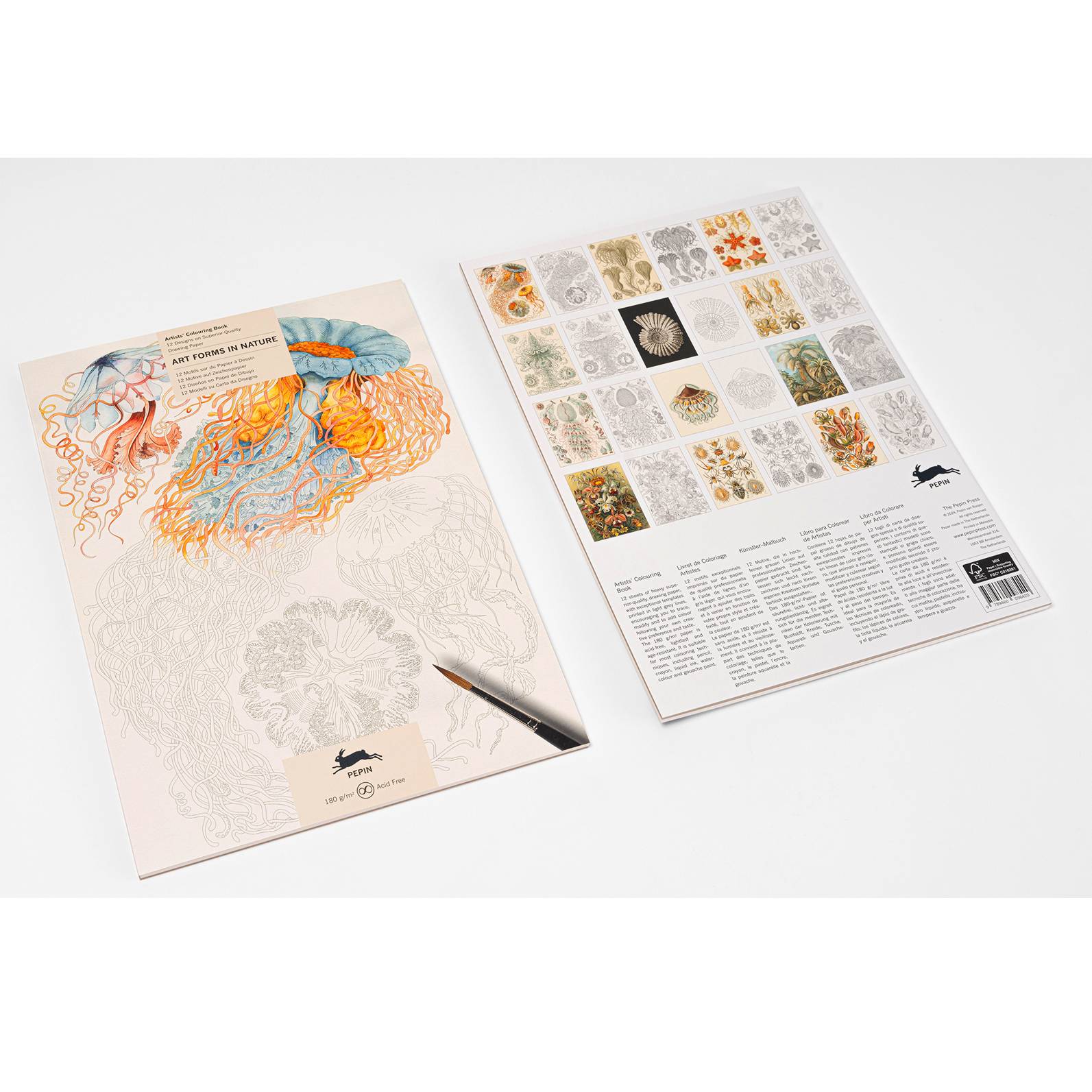 THE PEPIN PRESS | Libro A3 ilustraciones para colorear - Art Forms in Nature 2 - Imagen 3