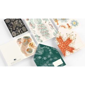 THE PEPIN PRESS | Set Correspondencia - Art Forms in Nature