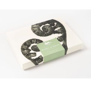 THE PEPIN PRESS | Set Correspondencia - Wonders of Nature
