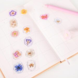 APPREE | Pegatinas sello cera SEALING WAX - Pressed Petal