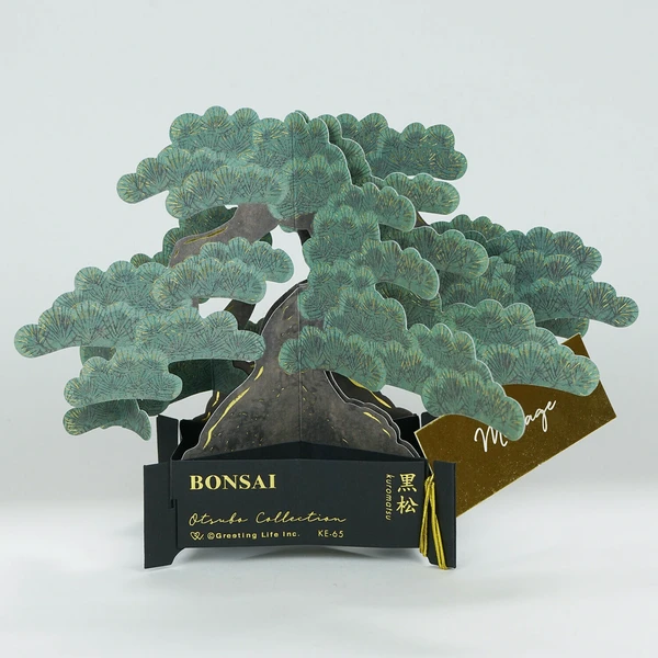 GREETING LIFE | Tarjeta Felicitación Pop Up - BONSAI Black pine - Imagen 6