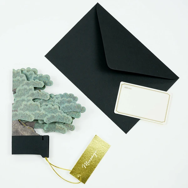 GREETING LIFE | Tarjeta Felicitación Pop Up - BONSAI Black pine - Imagen 4