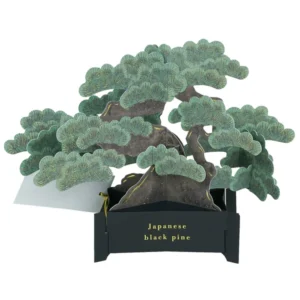 GREETING LIFE | Tarjeta Felicitación Pop Up - BONSAI Black pine