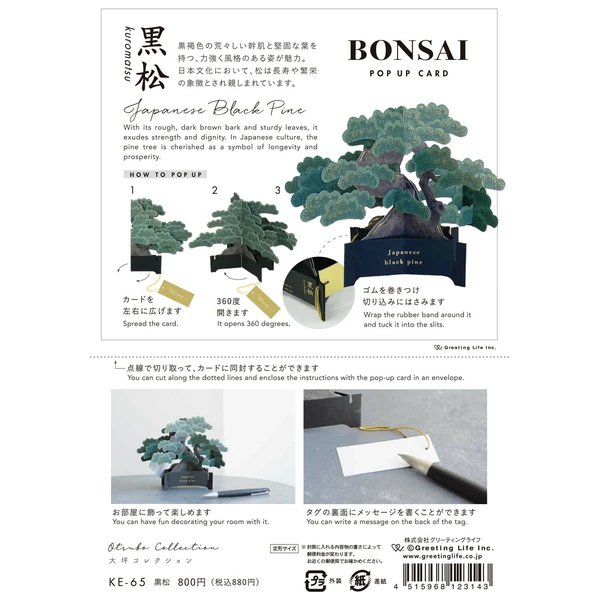 GREETING LIFE | Tarjeta Felicitación Pop Up - BONSAI Black pine - Imagen 7
