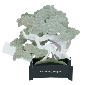 GREETING LIFE | Tarjeta Felicitación Pop Up - BONSAI Makashi