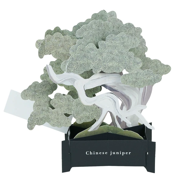GREETING LIFE | Tarjeta Felicitación Pop Up - BONSAI Makashi