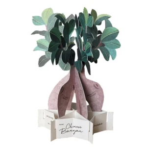 GREETING LIFE | Tarjeta Felicitación Pop Up - Chinese Banyan