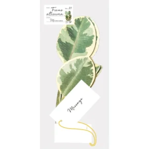 GREETING LIFE | Tarjeta Felicitación Pop Up - Ficus Altissima