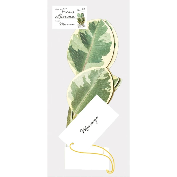 GREETING LIFE | Tarjeta Felicitación Pop Up - Ficus Altissima - Imagen 2