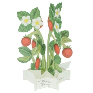GREETING LIFE | Tarjeta Felicitación Pop Up - Strawberry
