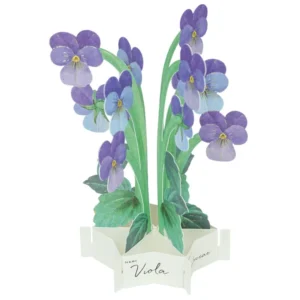 GREETING LIFE | Tarjeta Felicitación Pop Up - Viola