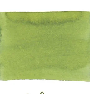 PILOT | Tintero Cristal 50 ml IROSHIZUKU - CHIKU RIN Verde Claro