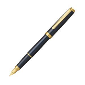 PLATINUM | Pluma Estilográfica Resina BISO - Nebula Black