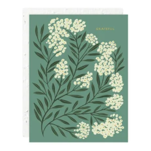 SEEDLINGS | Tarjeta Felicitación - Grateful