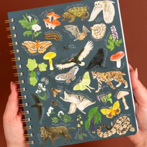 1CANOE2 | Cuaderno Anillas B5 Rayado - Midnight Flora & Fauna