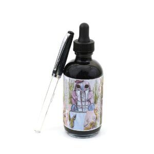 NOODLER'S | Tintero 135 ml 19821 + Rotulador GRATIS – Negro Blackerase