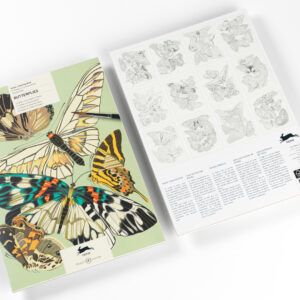 THE PEPIN PRESS | Libro A3 ilustraciones para colorear - Butterflies