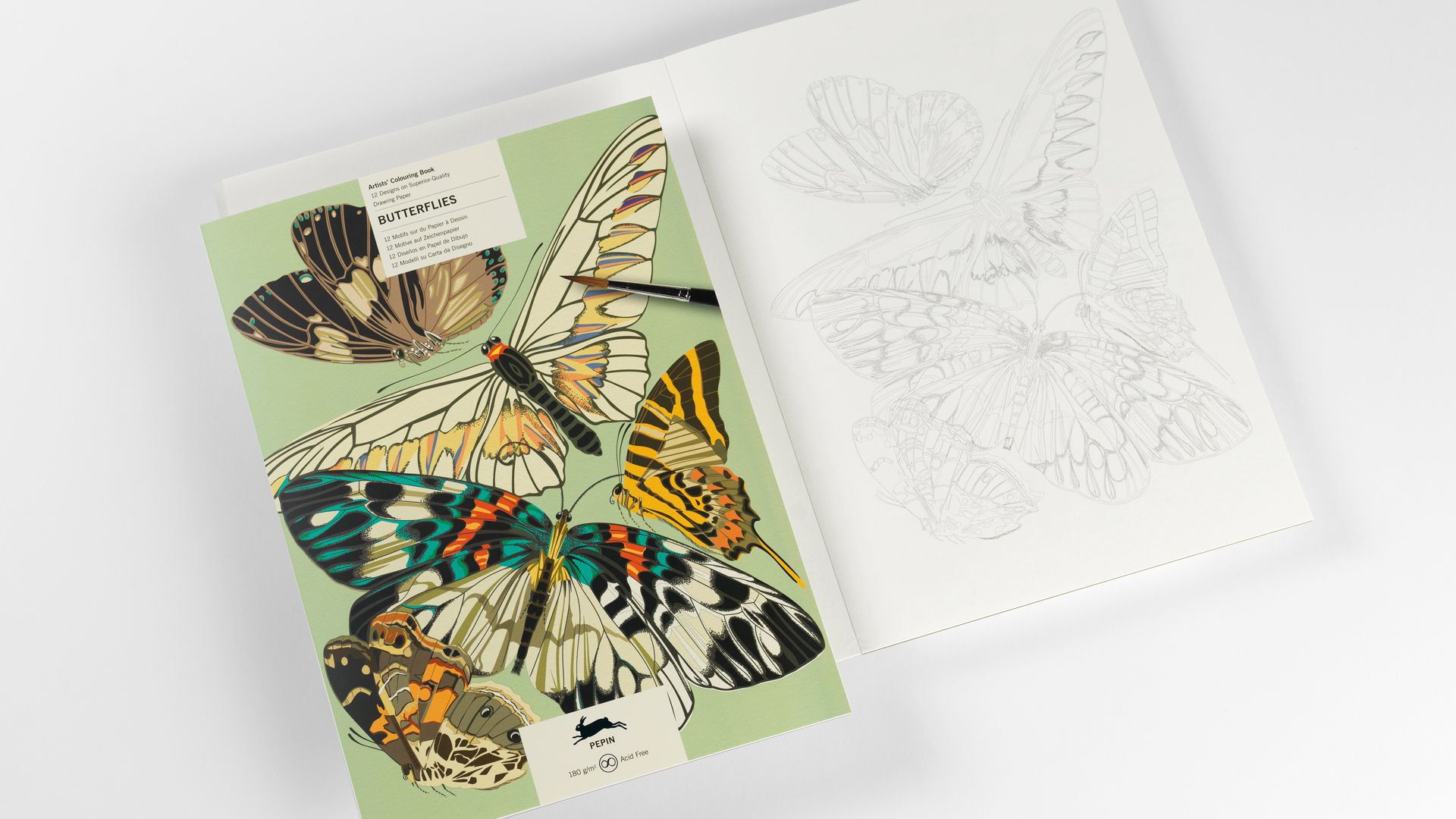 THE PEPIN PRESS | Libro A3 ilustraciones para colorear - Butterflies - Imagen 4