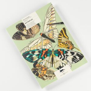 THE PEPIN PRESS | Libro A3 ilustraciones para colorear - Butterflies