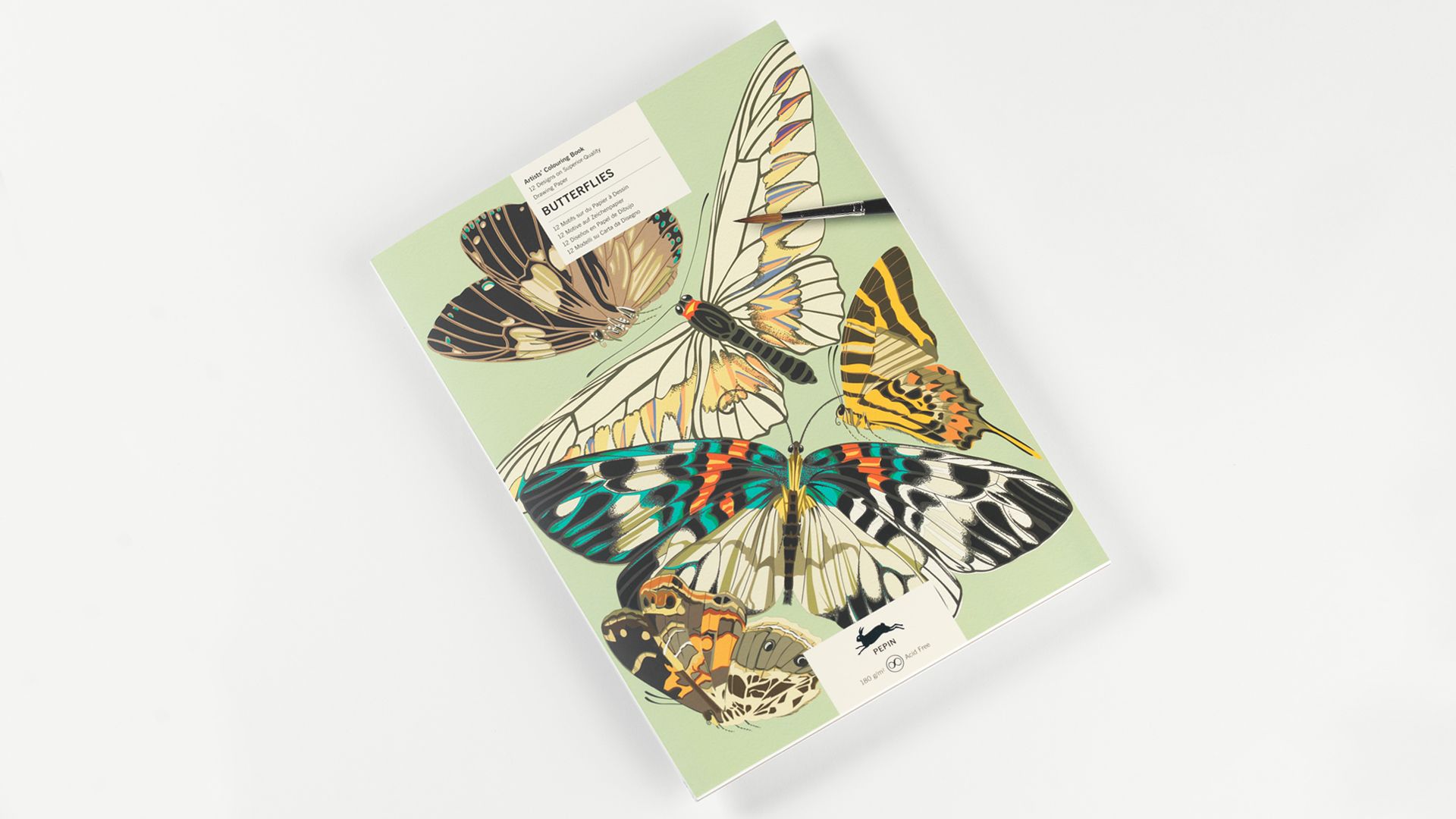 THE PEPIN PRESS | Libro A3 ilustraciones para colorear - Butterflies