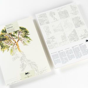 THE PEPIN PRESS | Libro A3 ilustraciones para colorear - Landscape