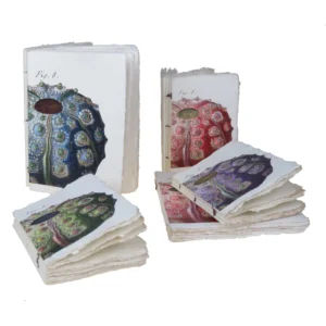 EPIGRAM | Cuaderno A5 Liso Artesanal Algodón - Sea Urchin Lamarck