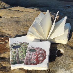 EPIGRAM | Cuaderno A5 Liso Artesanal Algodón - Sea Urchin Lamarck