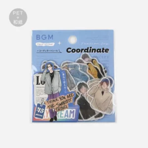 BGM | Pegatinas Sticker Flake COORDINATE WATERCOLOR (45) - Fashion boy